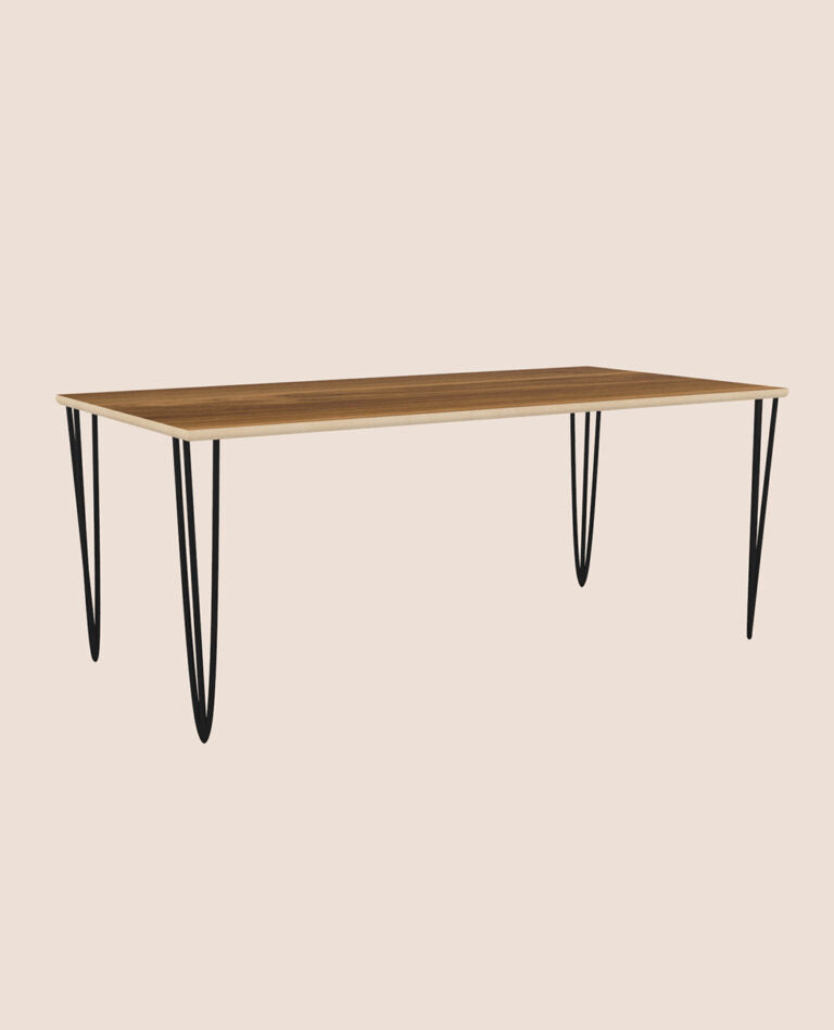 Table de salon en métal et hêtre