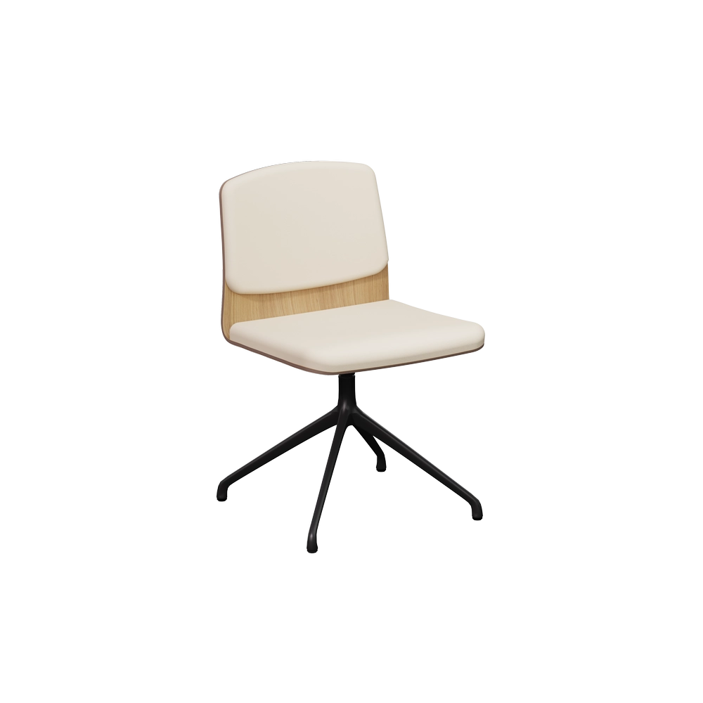 AN10L-S-4B-SW-FP-BLK-OAK-C-CB-BE