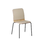 X10-S-4-BLK-OAK-C-CB-BE